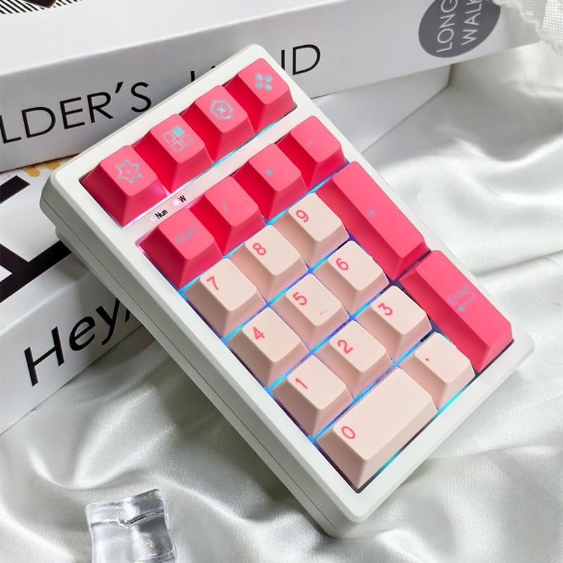 Boyi TD21 Hot Swap Numpad,21 Keys Mini Numpad Portable Keypad Bluetooth5.0/2.4G/Wired Number Pad Keyboard PBT Keycaps RGB Backlit Type-C Mini Keyboard (Pink Cherry Keycaps) - Image 5